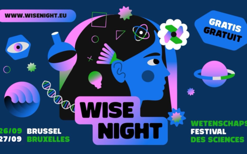 wisenight